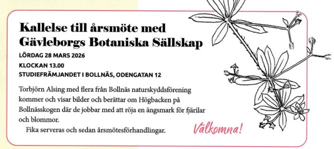 Välkommen till årsmöte!